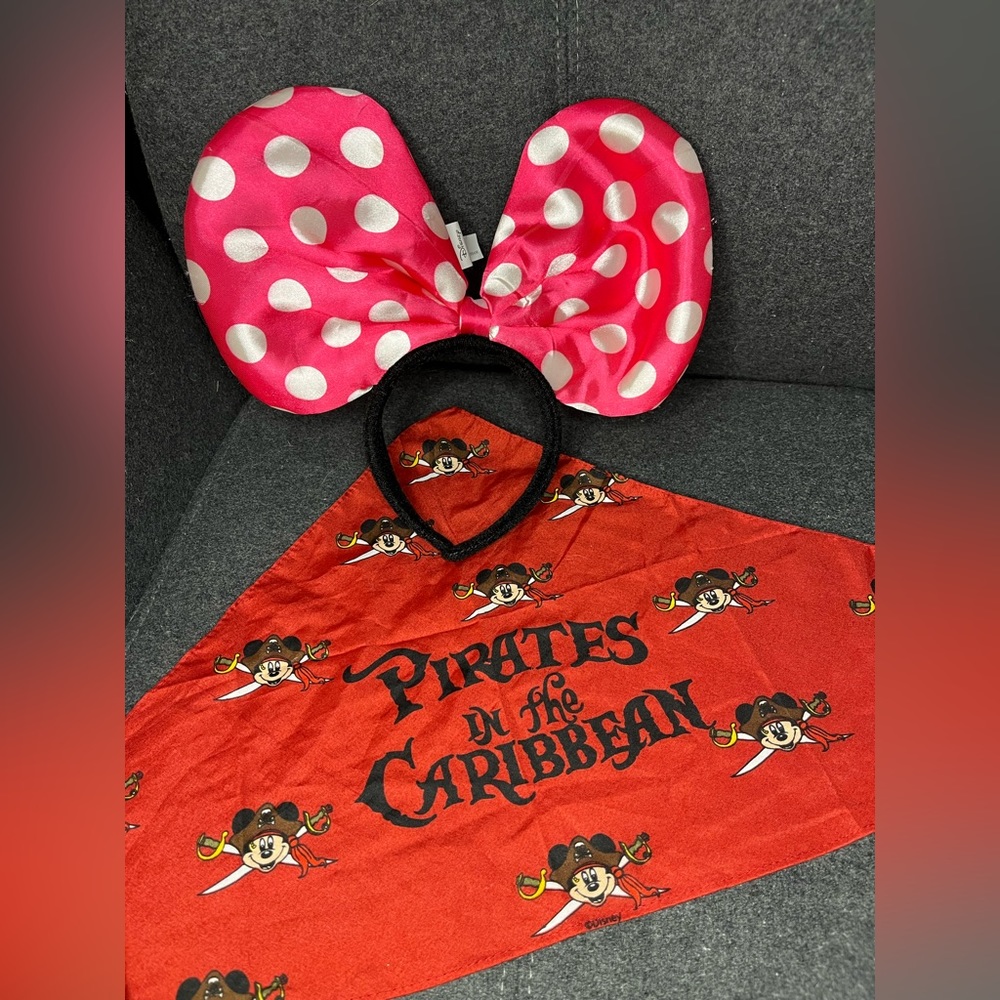 Disneys Pirate scarf and minnie ears